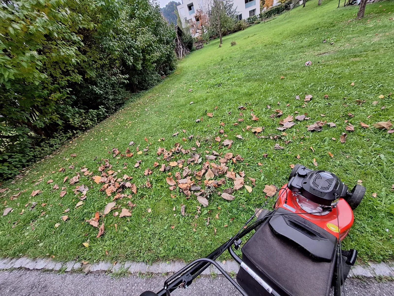 Rasenmäher auf einem frisch gemähten Rasen mit Herbstlaub in Dornbirn