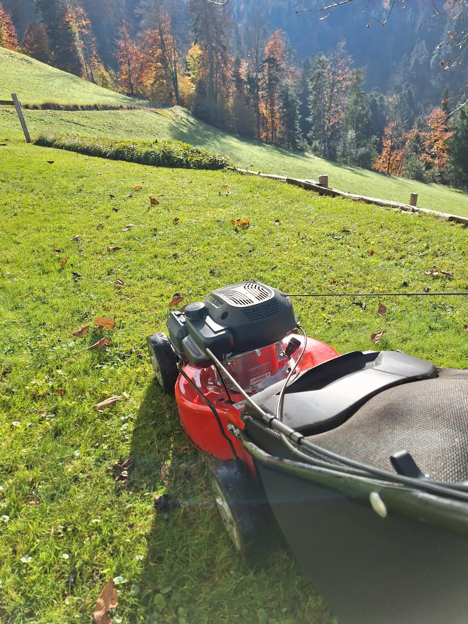 Rasenmähen an einem Hang mit Blick auf den Vorarlberger Bergwald